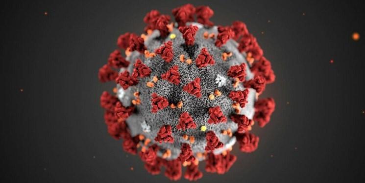 ویروس مولد بیماری کووید - 19 SARS-CoV-2 در ایران جهش های زیادی پیدا نموده است