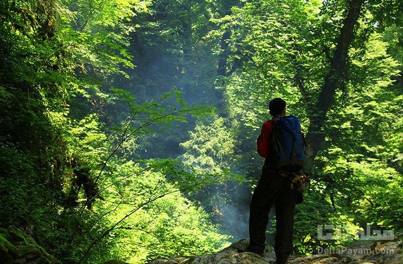 جنگل های انجیلی؛ طبیعت سوادکوه