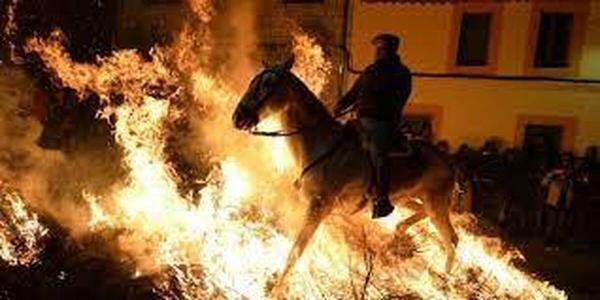 ببینید، فستیوال عجیب در اسپانیا، اسب هایی که برای سلامتی از میان دود و آتش عبور می کنند
