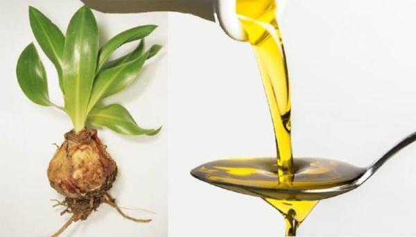 خواص روغن پیاز عنصل برای سلامتی و زیبایی خواص روغن پیاز عنصل برای سلامتی و زیبایی