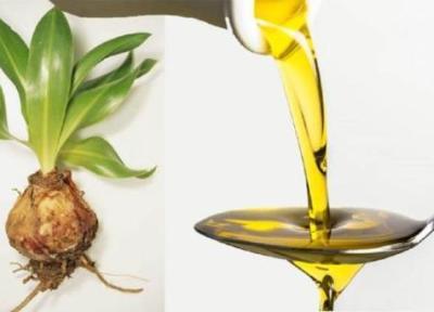 خواص روغن پیاز عنصل برای سلامتی و زیبایی